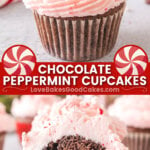 chocolate peppermint cupcakes pin collage
