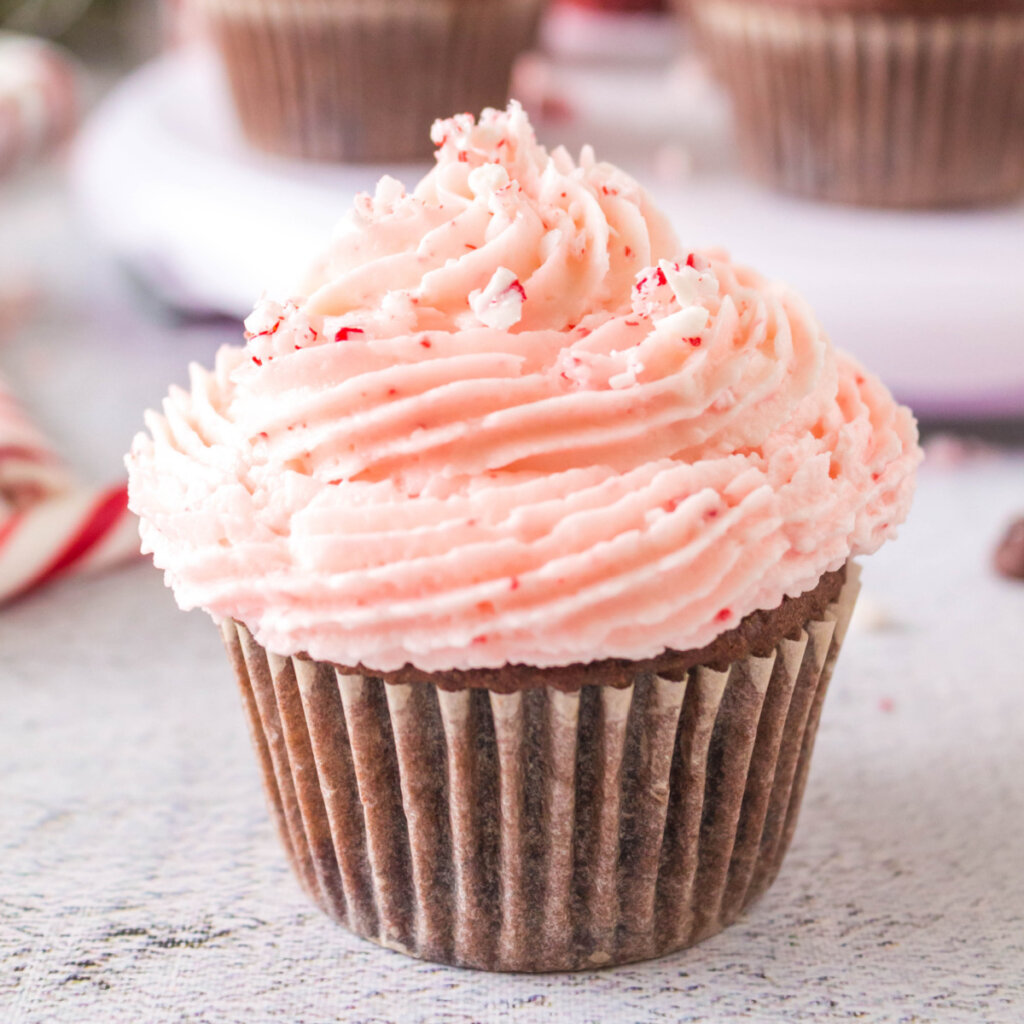 closeup chocolate peppermint cupcake