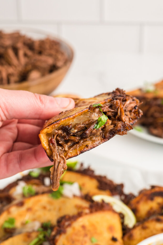 hand holding a taco showing the birria meat inside