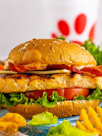 closeup grilled chicken club sandwich