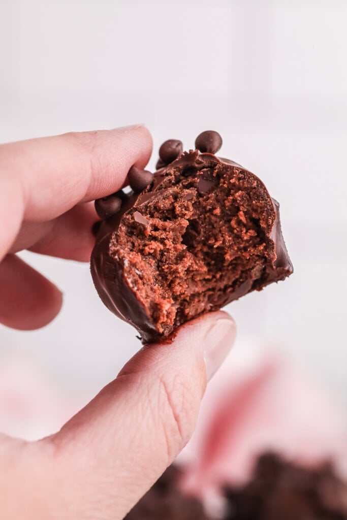 hand holding a brownie bite showing the inside