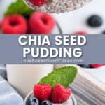 chia seed pudding pin collage