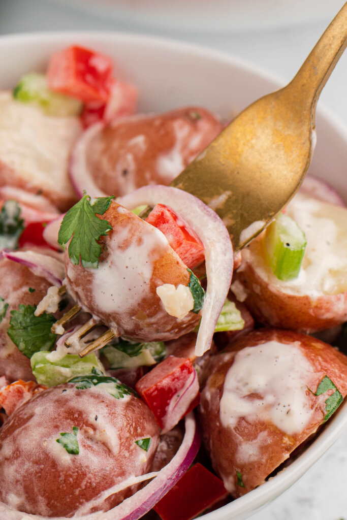 closeup of fork picking up red potato salad