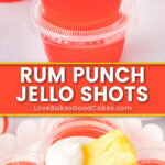 rum punch jello shots pin collage