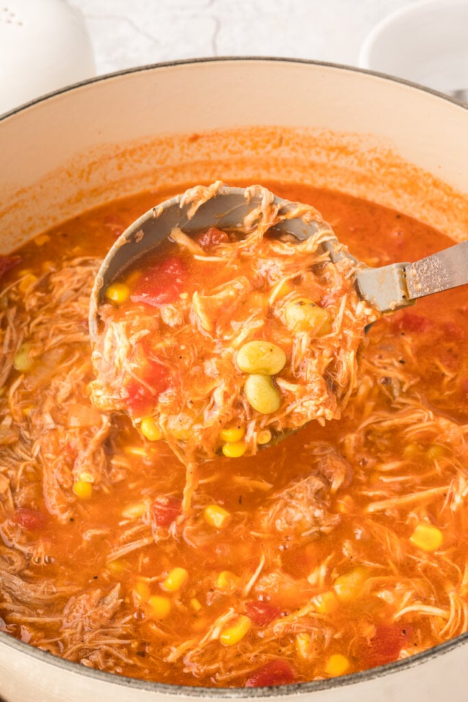 brunswick stew in pot