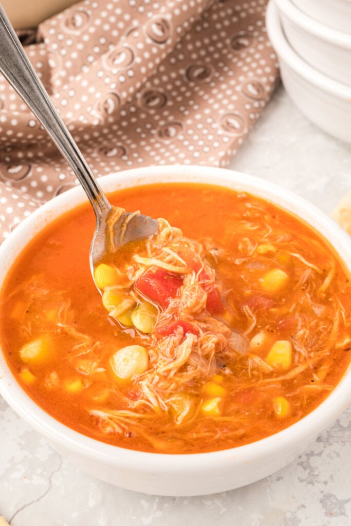 spoon scooping some of the brunswick stew out of the bowl