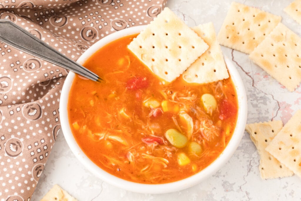 looking down onto a bowl of brunswick stew