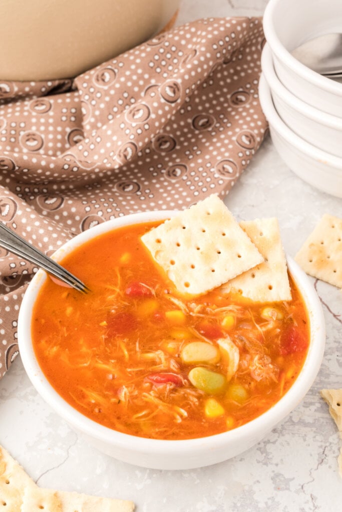 brunswick stew garnished with a couple of crackers