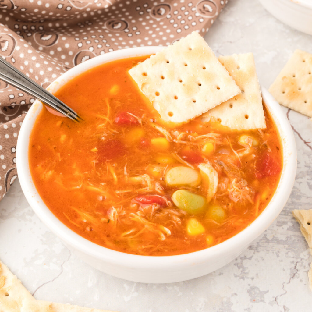 bowl of brunswick stew with csaltine crackers