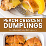 peach crescent dumplings pin collage