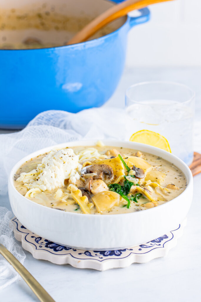 bowl of chicken alfredo lasagna soup