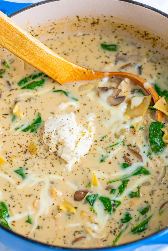 pot of chicken alfredo lasagna soup