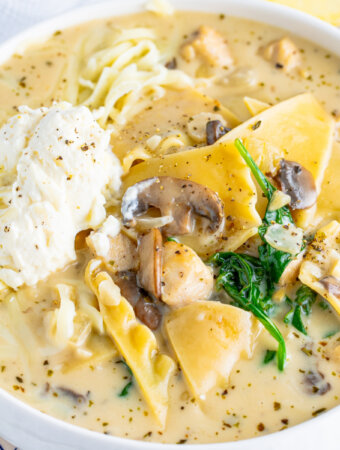 closeup of chicken alfredo lasagna soup in bowl