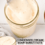 condensed cream soup substitute facebook collage 2