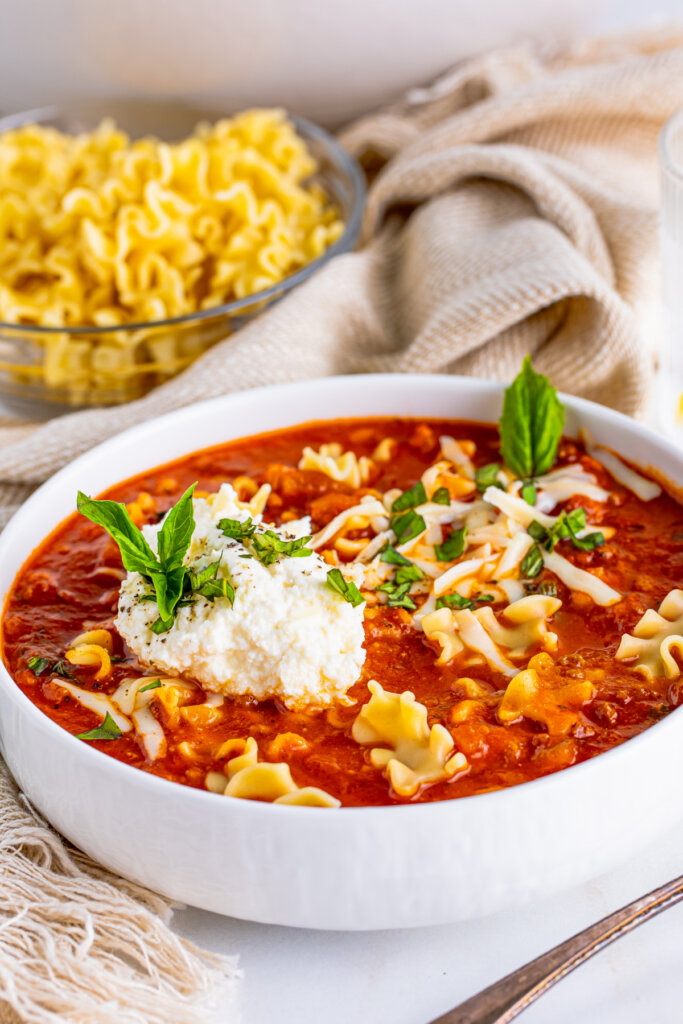 closeup bowl of lasagna soup