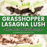 grasshopper lasagna lush pin collage