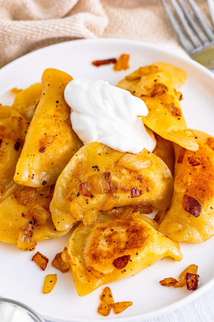 closeup of pierogi on plate