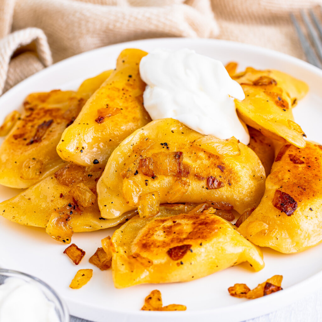 closeup of pierogi on plate