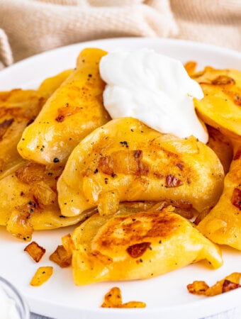 closeup of pierogi on plate