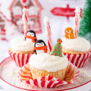 closeup of north pole cupcakes