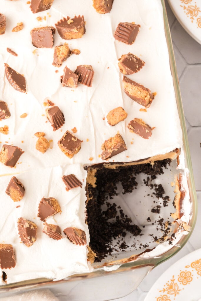 looking down into a pan with chocolate peanut butter dessert