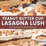 peanut butter cup lasagna lush pin collage