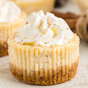 closeup of a mini eggnog cheesecake topped with whipped cream