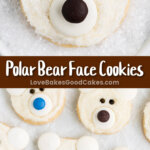 polar bear face cookies pin collage