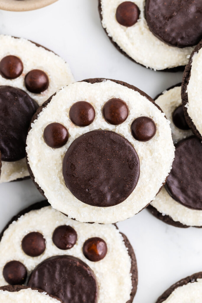 closeup polar bear paw cookie