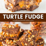 turtle fudge pin collage