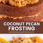 coconut pecan frosting pin collage