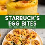 starbucks egg bites pin collage