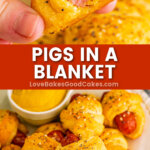 pigs in a blanket pin collage