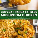 copycat panda express mushroom chicken pin collage