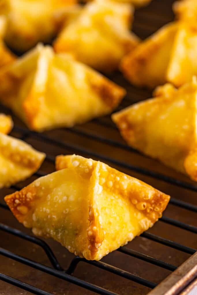 then immediately place them onto a wire rack placed on top of a sheet tray. Repeat with the remaining wontons.