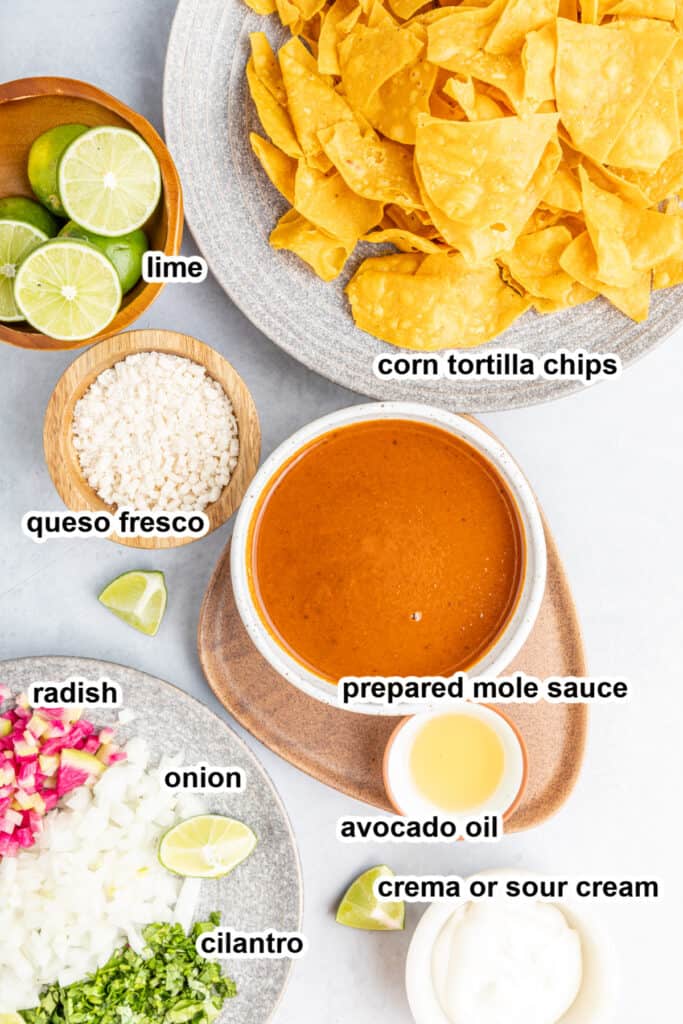 ingredients to make mole chilaquiles