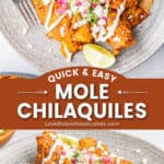 mole chilaquiles pin collage