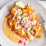 mole chilaquiles on gray plate
