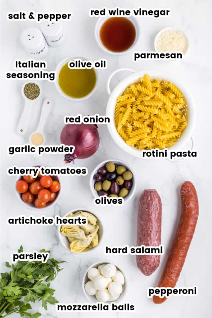 ingredients to make antipasto pasta salad