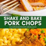 shake and bake pork chops pin collage