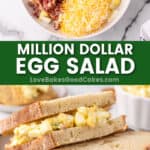 million dollar egg salad pin collage