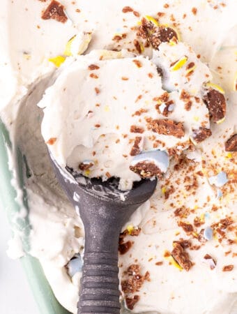 closeup of easter ice cream being scooped from the container