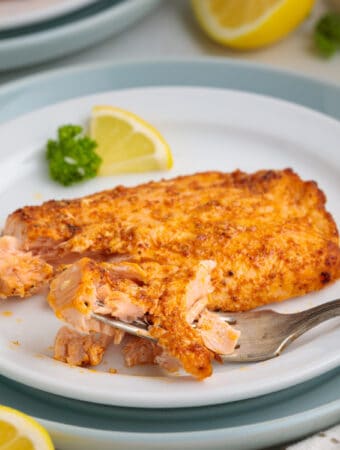 piece of air fryer salmon on plate