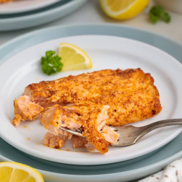 piece of air fryer salmon on plate