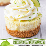 mini key lime cheesecakes facebook collage