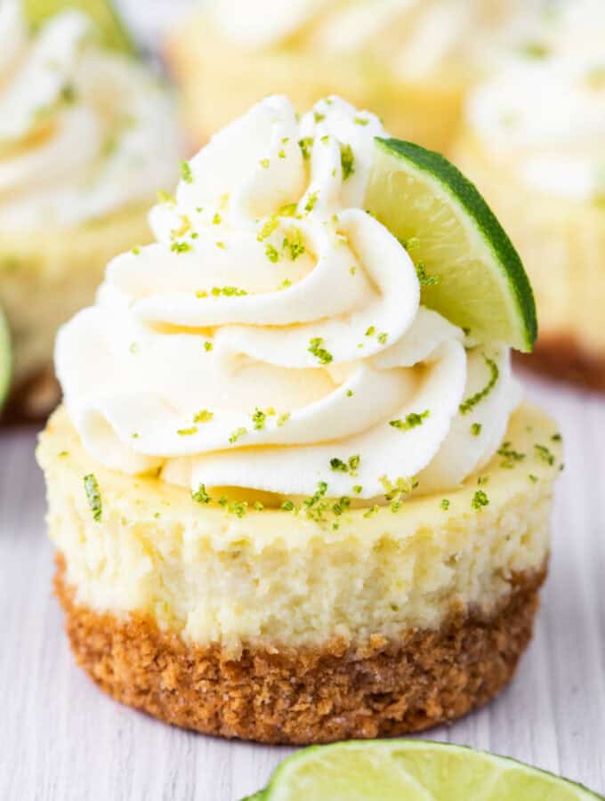 Mini key lime cheesecake with whipped cream swirl, lime zest, and lime slice garnish
