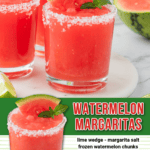 watermelon margarita facebook collage