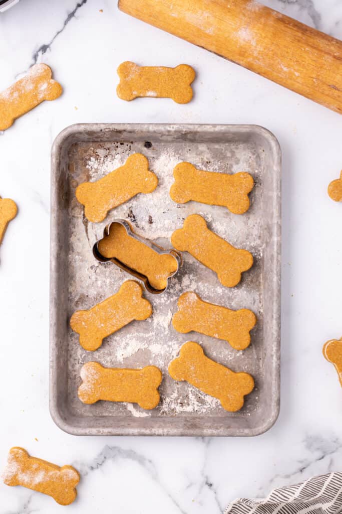 Bone-shaped pumpkin dog treats arranged on a baking tray, ready for cooking.