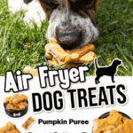 air fryer dog treats facebook collage