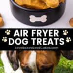 Air Fryer Dog Treats pin collage